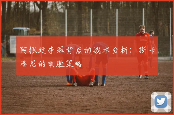 阿根廷夺冠背后的战术分析:斯卡洛尼的制胜策略