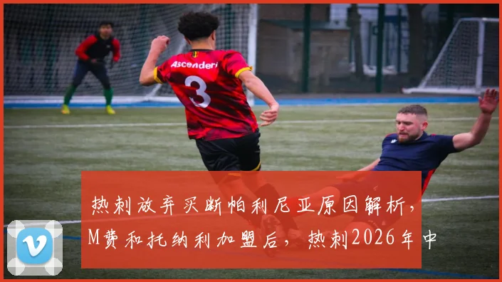 热刺放弃买断帕利尼亚原因解析，M费和托纳利加盟后，热刺2026年中场人员调整计划出炉