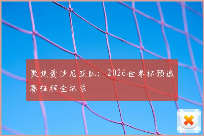 聚焦爱沙尼亚队：2026世界杯预选赛征程全记录